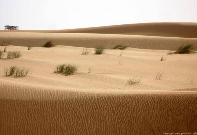 Colori del deserto, da Nouakchott a confine marocchino, la Mauritania