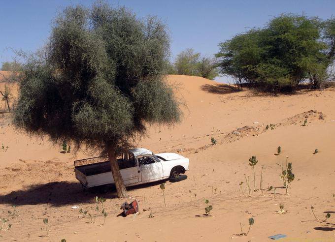 Pick up in ombra, strada Boutilimit Boghé, Mauritania
