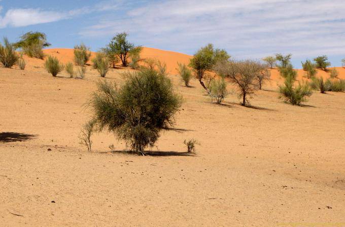 Colori Dunes, Strada Souffa, cattedrale naturale, Mauritania