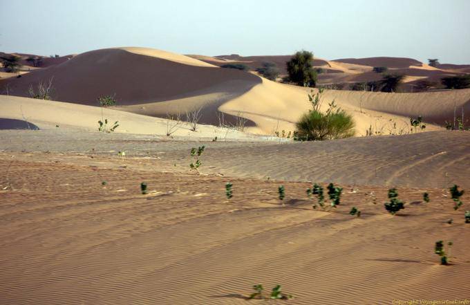 I colori di sabbia, Hope Road, Mauritania