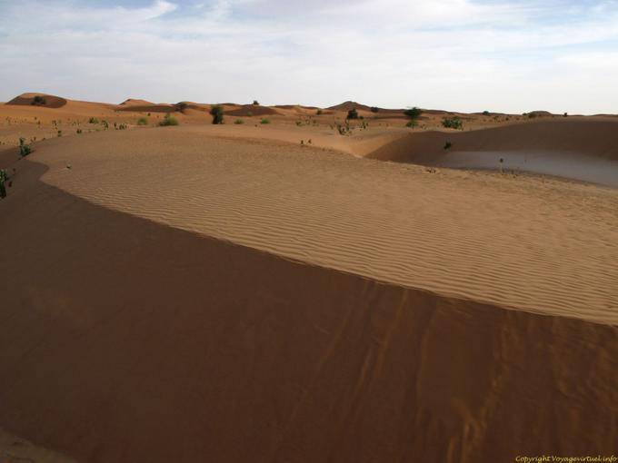 DUNE piatto Friselis, Hope Road, Mauritania