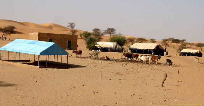 Housing e tenda stabile, Strada della Speranza, la Mauritania