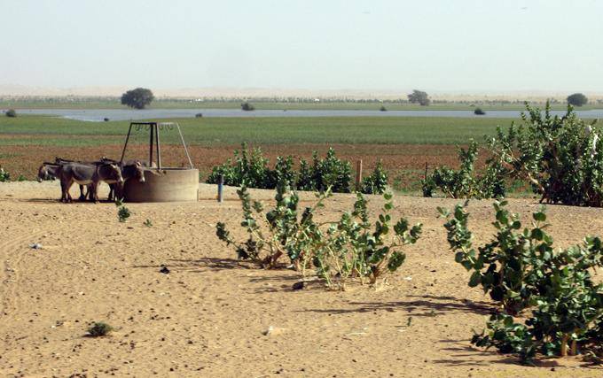 Bene e risultati di irrigazione, Hope Road, Mauritania