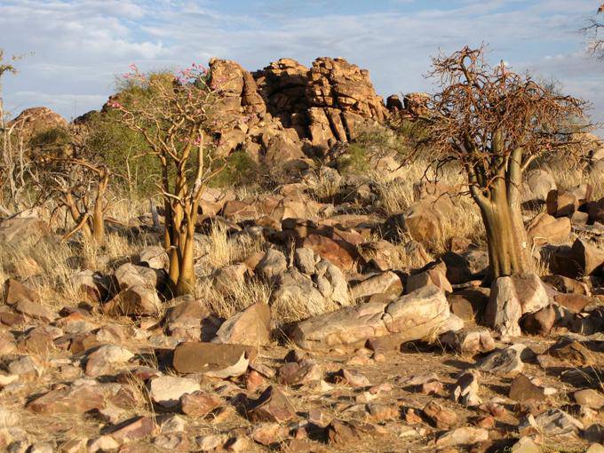 Souffa, Baobab nella roccia, la Mauritania