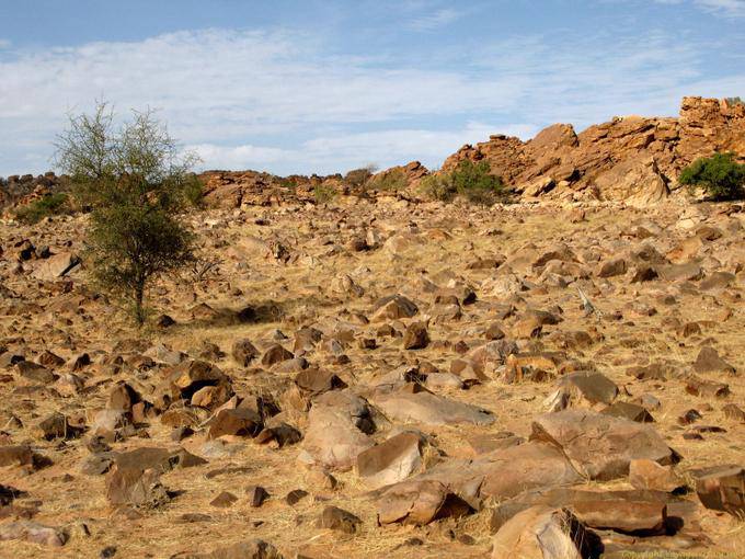 Souffa, spietato, Mauritania