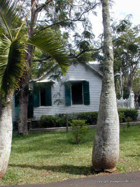 Tronco di una palma, La Bourdonnais Avenue, Pamplemousses, Mauritius.