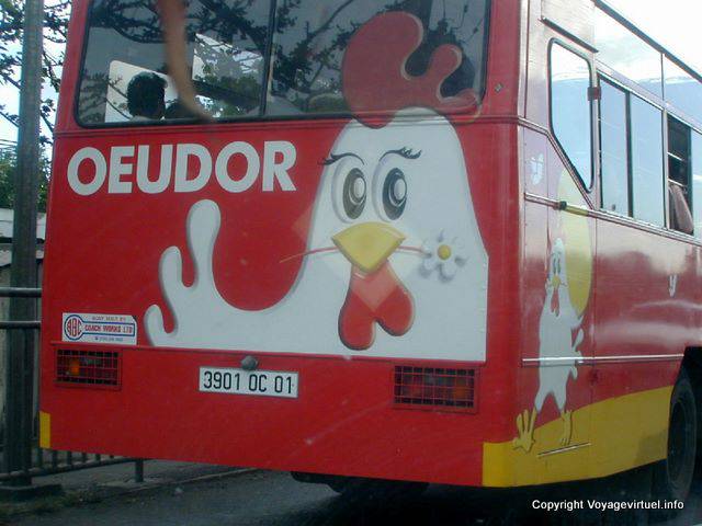 Oeudor, la pubblicità sul retro di un autobus, Mauritius.