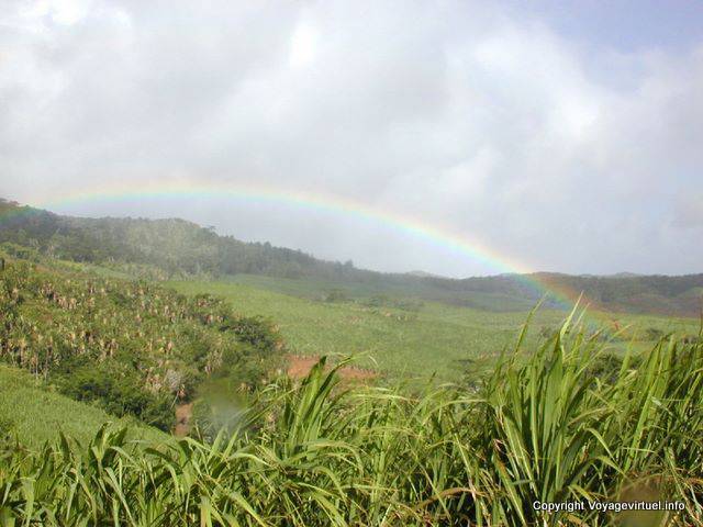 Arc-en-ciel in campi di canna da zucchero, Plaine Champagne, Mauritius.
