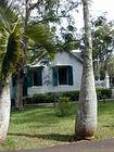 Tronco di una palma, La Bourdonnais Avenue, Pamplemousses, Mauritius.