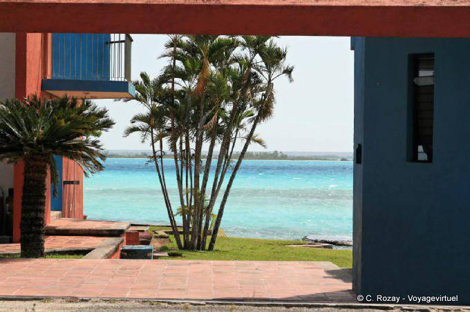 Palme sulla riva del Laguna Bacalar - Messico