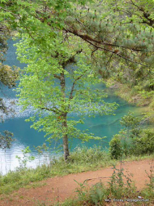 Armonia di colori, Laguna Azul, Lagunas de Montebello - Messico