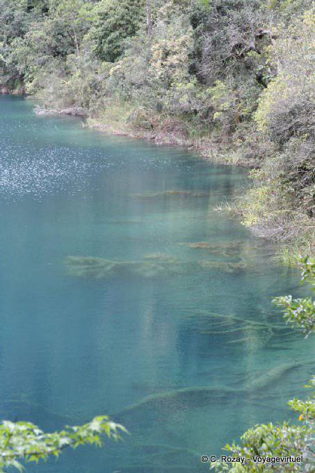 Acqua trasparente, Laguna Azul, Lagunas de Montebello - Messico
