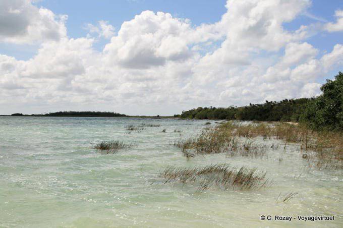 Erbe nel vento, laguna Muyil - Messico
