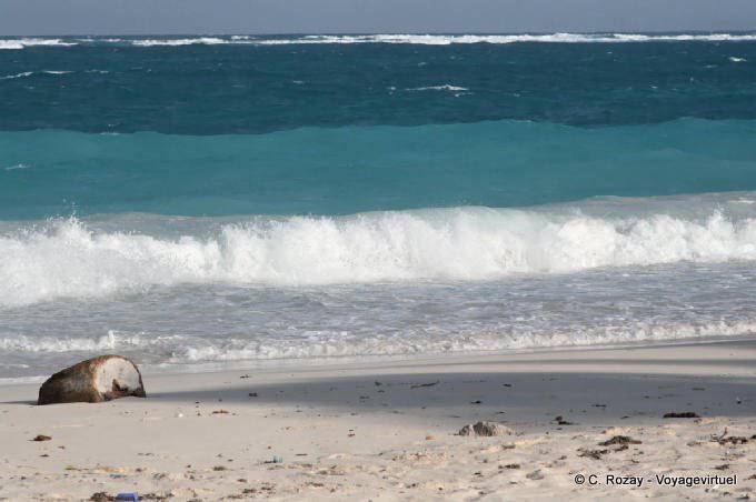 Colore Caraible sulla spiaggia deserta, Tulum - Messico