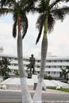 Statua tra le palme, Avenida Adolfo Cortines Campeche, Messico.