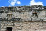 Sculture dal tempio Nohoch Mul, Coba, Messico.