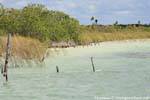 Lagoon Muyil, Messico.