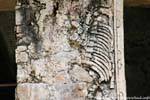 Resti di un rilievo di Chan Bahlum II, Grupo de Las Cruces, Palenque, Messico.