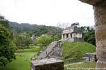 Vista del gruppo settentrionale, Templo del Conde, Palenque, Messico.