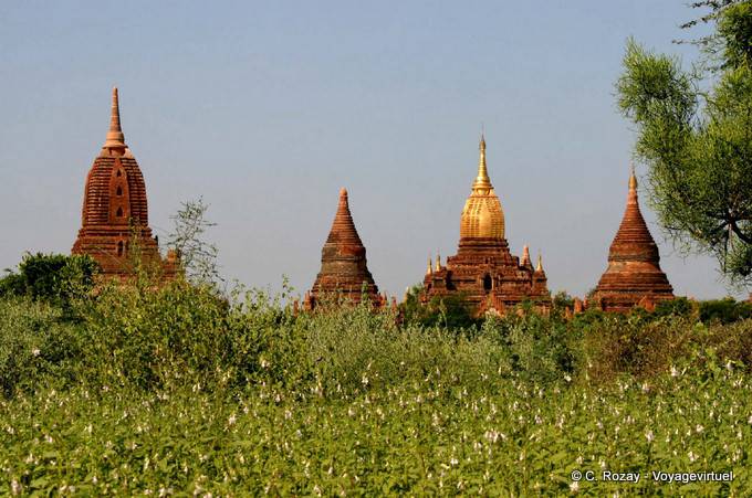 Templi e stupa di tutto il Ananda, Bagan - Myanmar (Birmania)