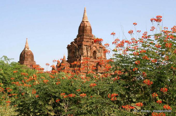 Nwar Pya Gu Tempio, Vecchio Bagan - Myanmar (Birmania)