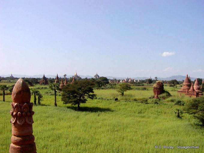 Stupa in erba verde, Bagan - Myanmar (Birmania)