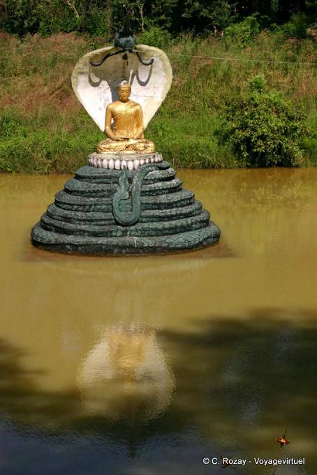 Statua buddista protectet da un naga nel reale Kandawgyi Lake, Yangon - Myanmar (Birmania)