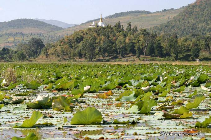 Lago di paesaggio a sud del lago Inle, Sagar - Myanmar (Birmania)
