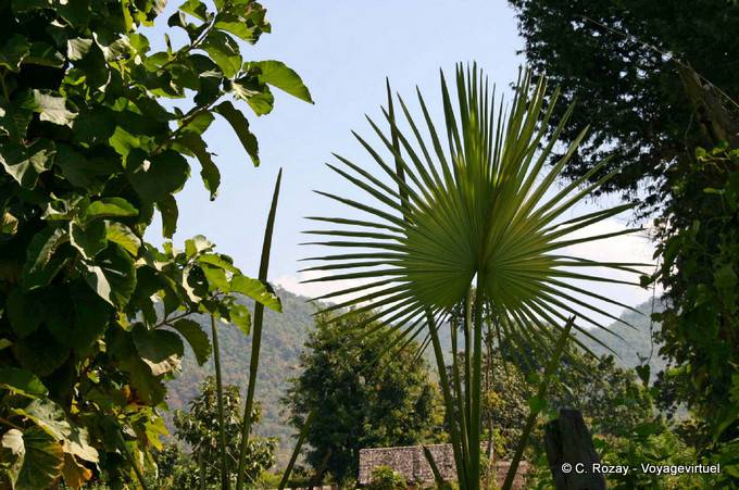 Intorno Taungto Village, Sagar - Myanmar (Birmania)