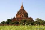 Panorama su Sulamani tempio, Bagan, Birmania.