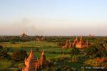 Luci di sera sui templi e pagode, Bagan, Birmania.