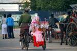 Trasporto di un offerta di suora, Nyaung-U, Bagan, Birmania.