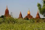 Templi e stupa di tutto il Ananda, Bagan, Birmania.