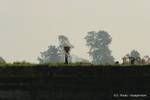 Vita di paese sulle rive del Irrawaddy, Mandalay, Birmania.
