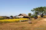 Farm birmano Pindaya, Birmania.