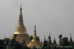Stupa principale di Shwedagon Pagoda e quella del Shinsawpu, Rangoon, Birmania.