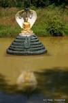 Statua buddista protectet da un naga nel reale Kandawgyi Lake, Yangon, Birmania.