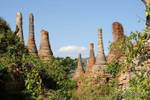 Gruppo Stupa di vegetazione, Sagar, Birmania.