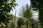 Intorno Taungto Village, Sagar, Birmania.