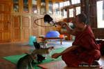 Monk allenatore salto gatti Nga Phe Chaung Monastero, Lago Inle, Sagar, Birmania.