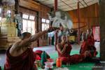 Cat saltare attraverso un cerchio, Nga Monastero Chaung Phe, Lago Inle, Sagar, Birmania.
