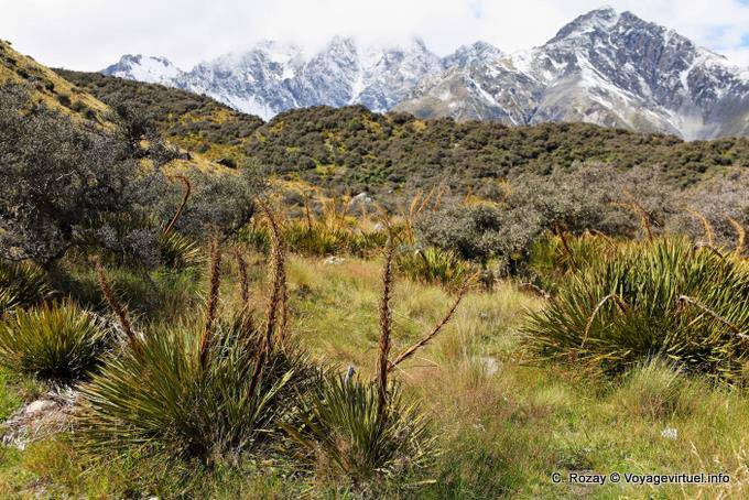 Moraine, Mount Cook Road, Canterbury - Nuova Zelanda