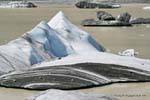 Galleggiante iceberg, Tasman Lake, Canterbury, Nuova Zelanda.