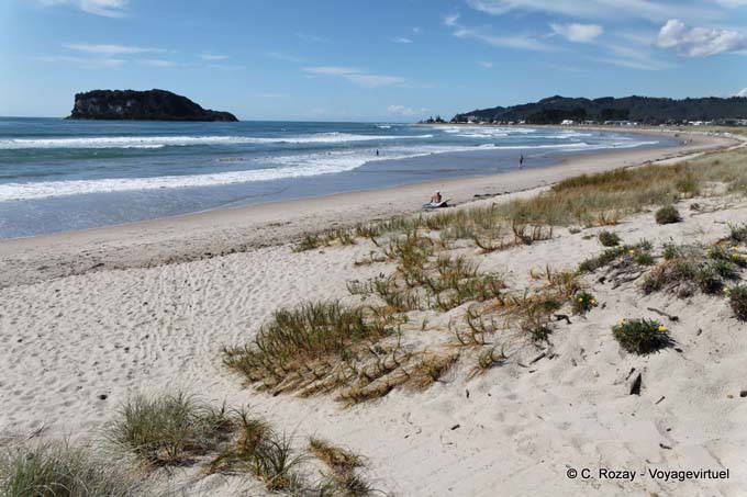 Panorama su Whangamata Beach Surf - Nuova Zelanda