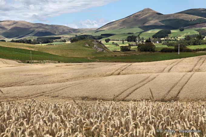 Clinton, Otago - Nuova Zelanda