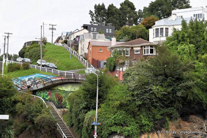 Rattray Street Dunedin Otago - Nuova Zelanda