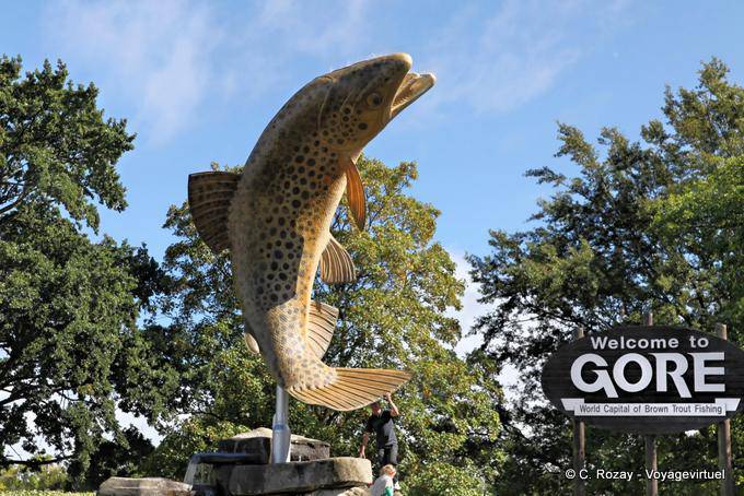 Gore Brown Fishing Hole, Otago - Nuova Zelanda