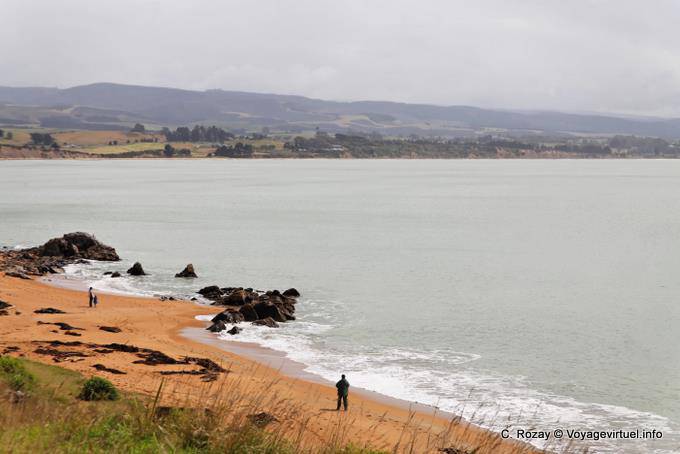 Paesaggio, Moeraki, Otago - Nuova Zelanda