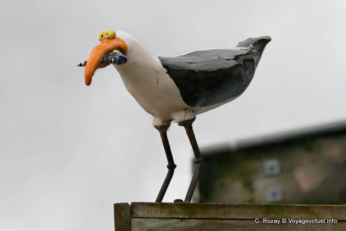 Uccello divertente, Moeraki, Otago - Nuova Zelanda