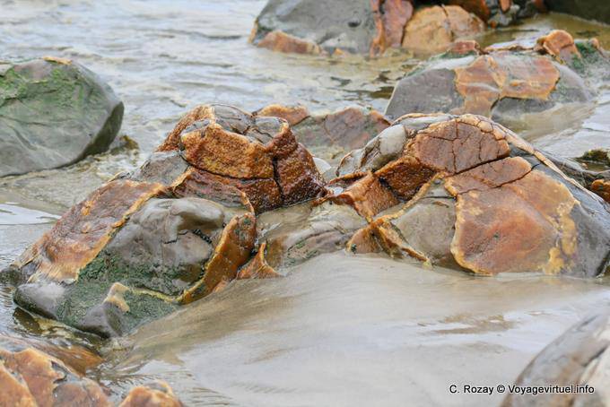 Concrezioni colorate, Moeraki Boulders Scenic Reserve, Otago - Nuova Zelanda